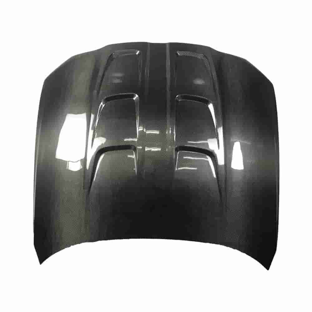 Hood panel with sculpted contours and visible openings.