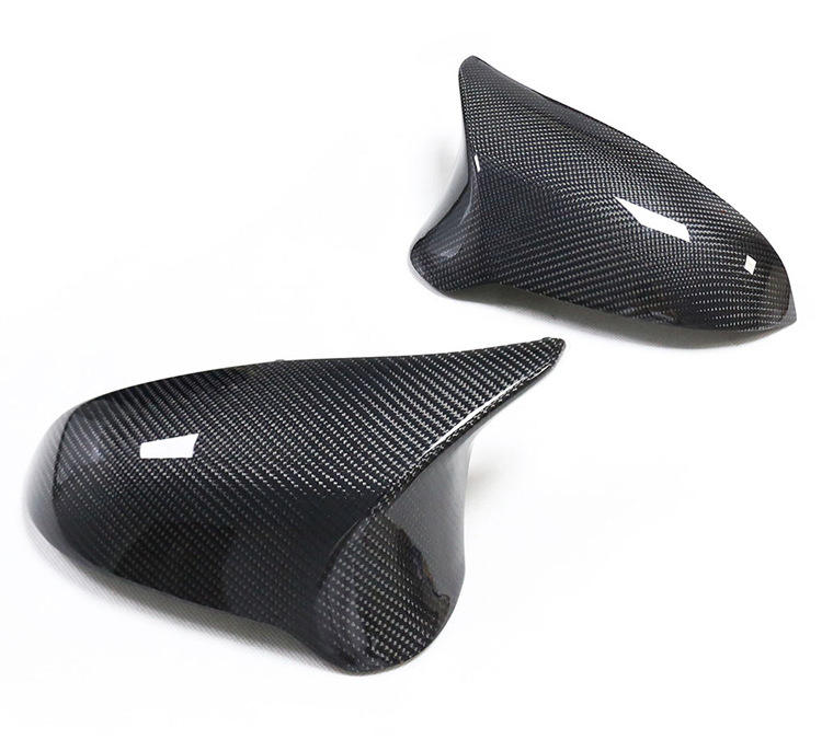 Two mirror cap shells showing their exterior surfaces.