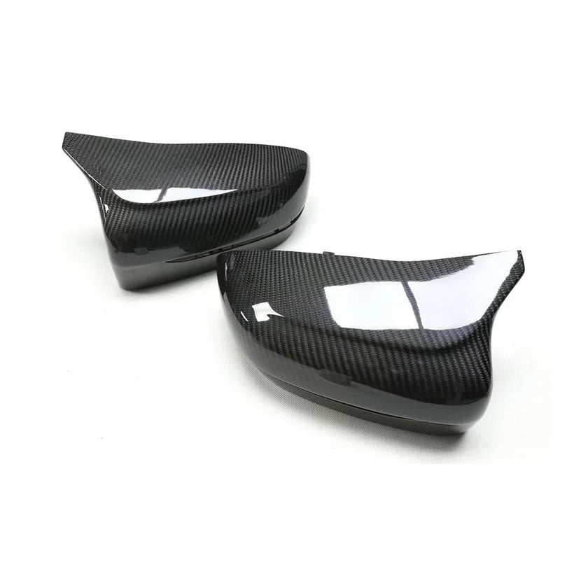 Two mirror cap shells showing their patterned outer surfaces.